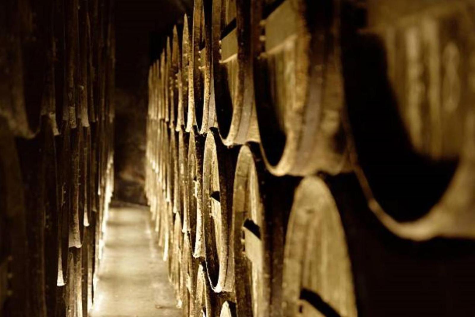 Maison Meire Studios Cognac Luaran gambar